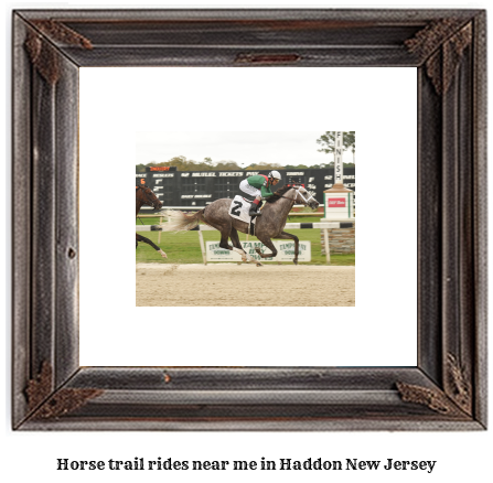 horse trail rides near me in Haddon, New Jersey